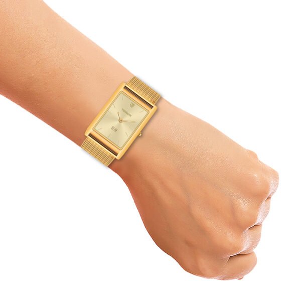 Tenmax Slim 529 Gold Dial Gold Luxury All Steel analog Watch for Men